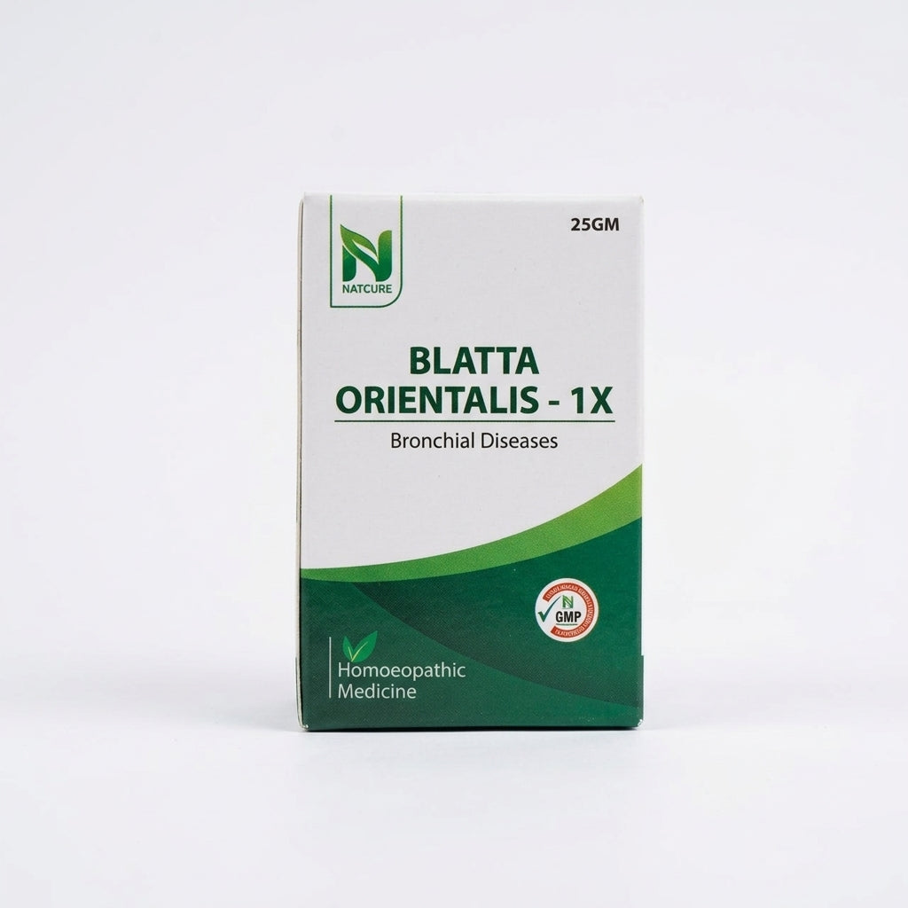 BLATTA ORIENTALIS 1X