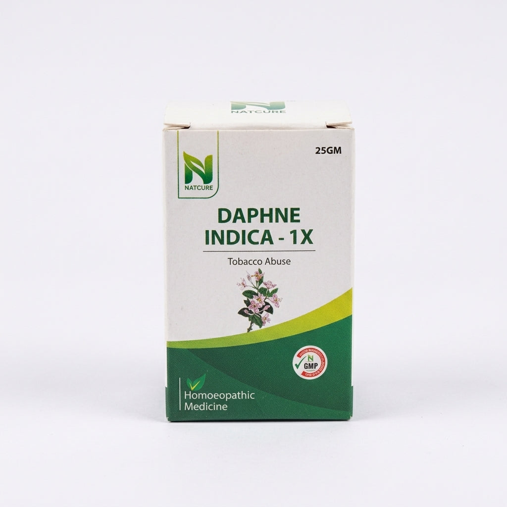 DAPHNE INDICA  1X