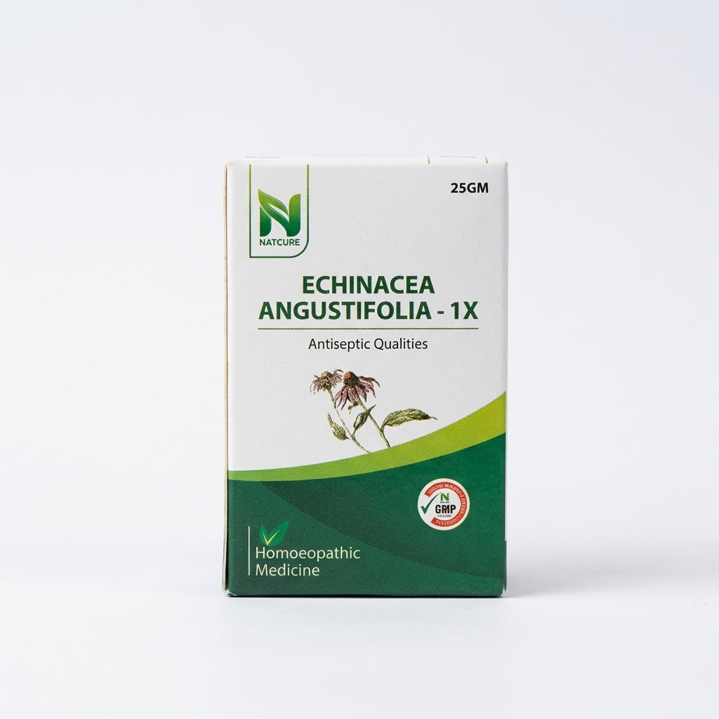 ECHINACEA ANGUSTIFOLIA  1X