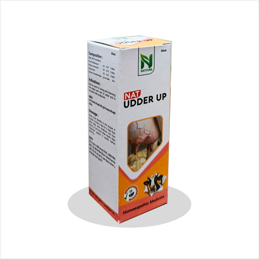 NAT UDDER UP